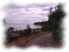 holly bay