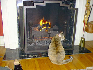 image04.jpg