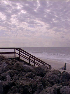 image22.jpg