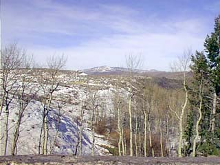 Image12