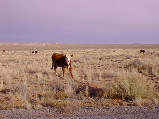 Image39