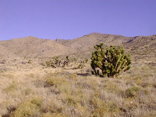 Image02