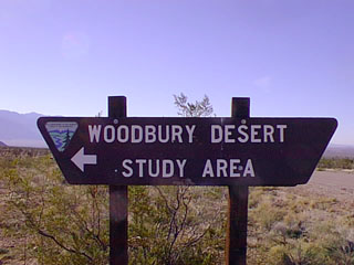 Image09
