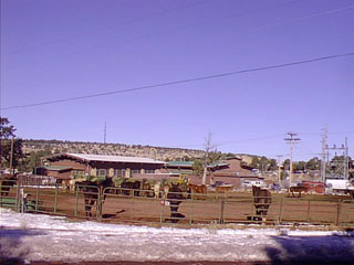 Image38