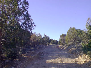 Imagea20